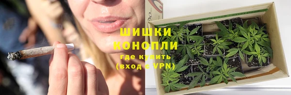 стафф Майский