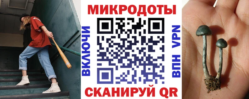 Псилоцибиновые грибы Psilocybine cubensis  Семикаракорск 